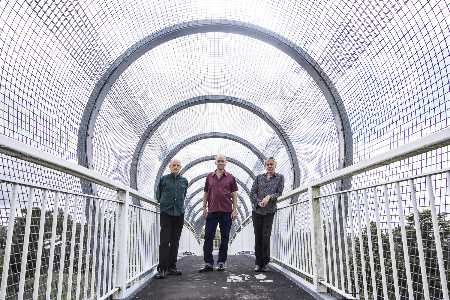 The Necks<br />by Camille Walsh Photography The Necksby Camille Walsh Photography