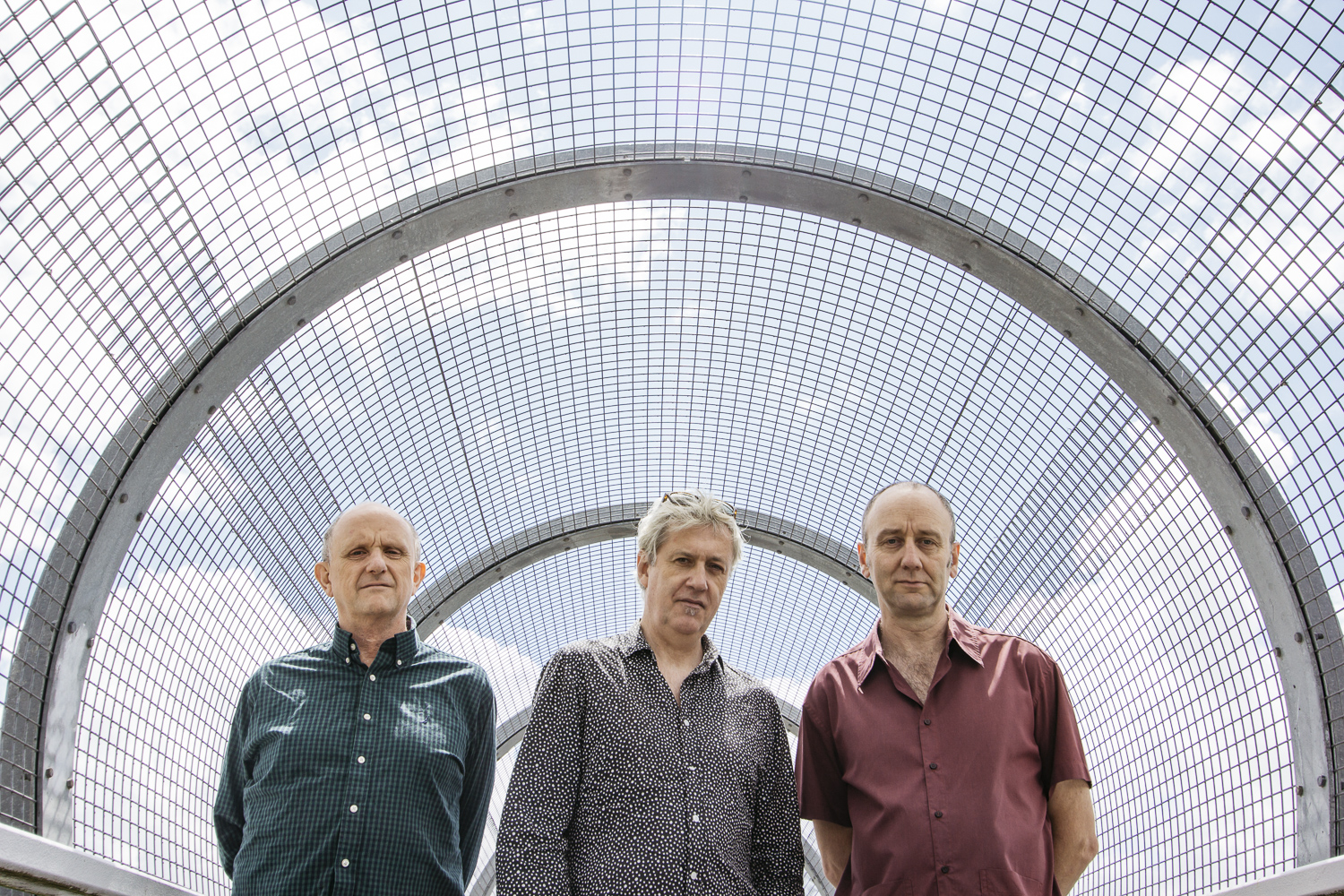 The Necks<br />by Camille Walsh Photography The Necksby Camille Walsh Photography