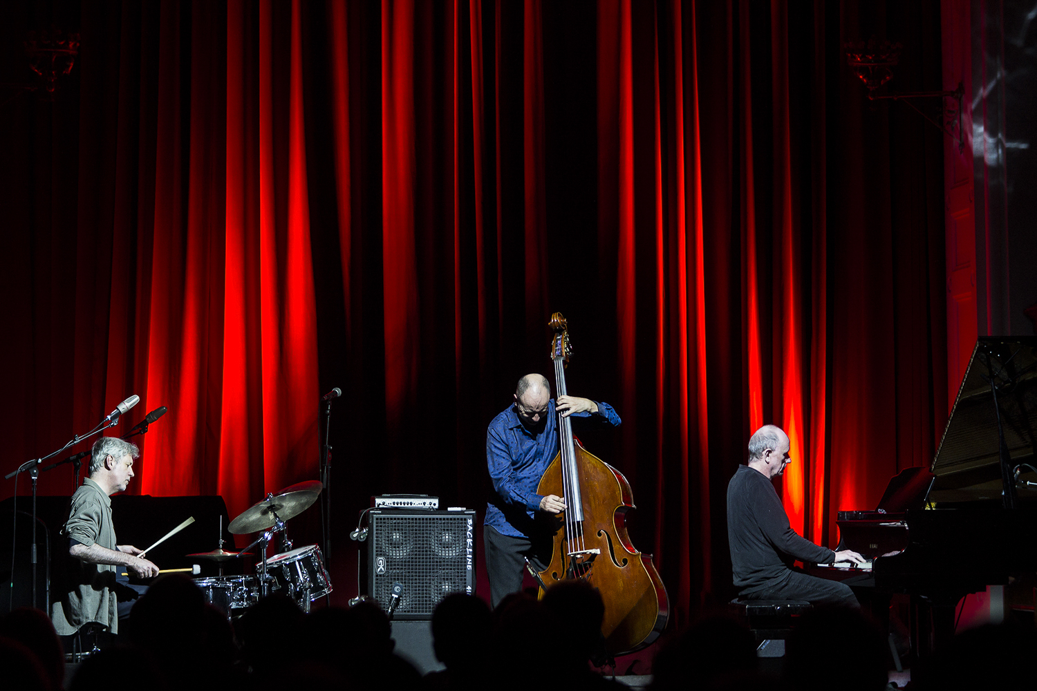 The Necks<br />by Alan Murphy The Necksby Alan Murphy