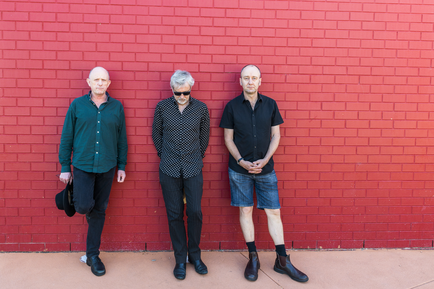 The Necks<br />by Holimage The Necksby Holimage