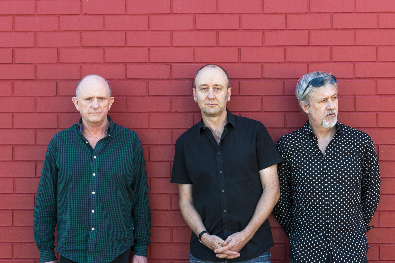 The Necks<br />by Holimage The Necksby Holimage