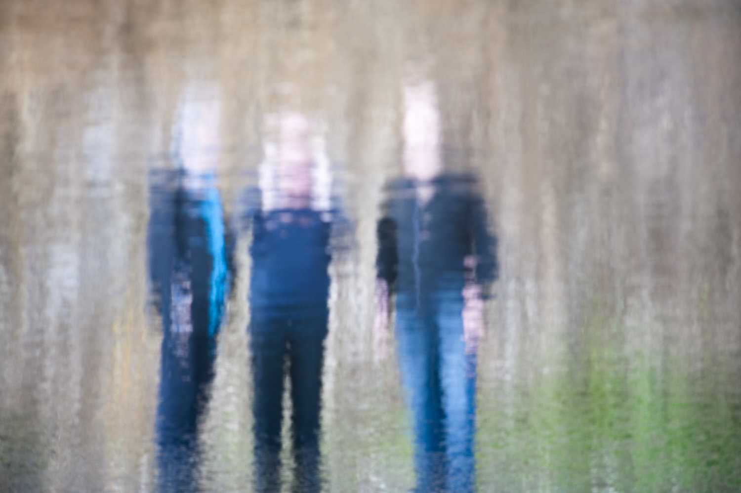 The Necks<br />by Holimage The Necksby Holimage