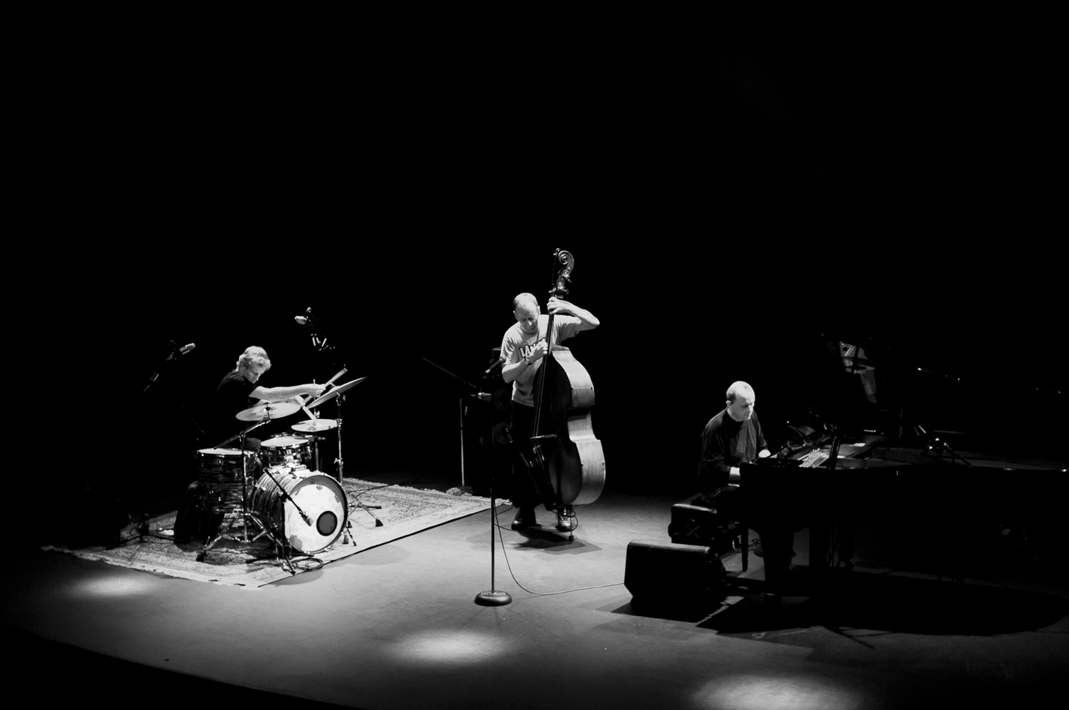 The Necks<br />by Holimage The Necksby Holimage