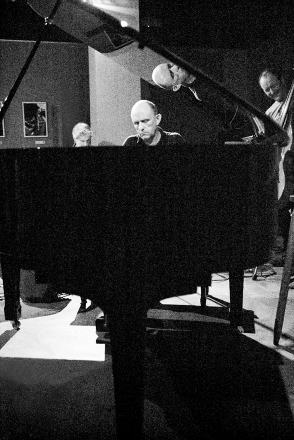 The Necks<br />by John Tapia Urquiza The Necksby John Tapia Urquiza