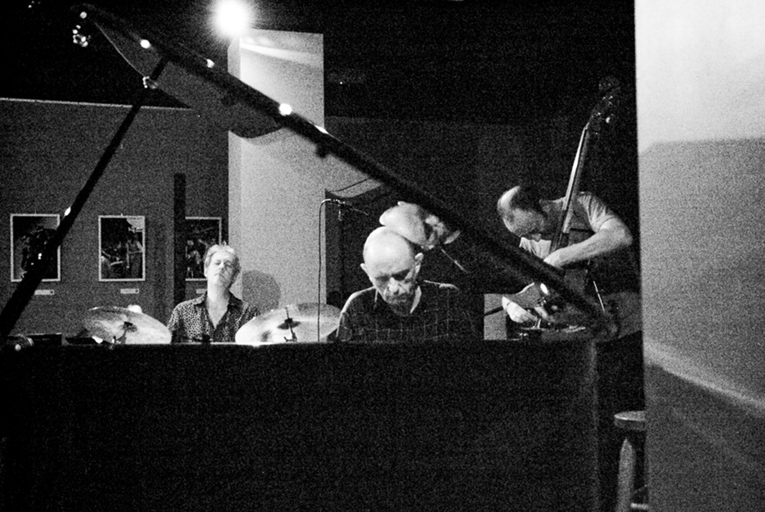 The Necks<br />by John Tapia Urquiza The Necksby John Tapia Urquiza