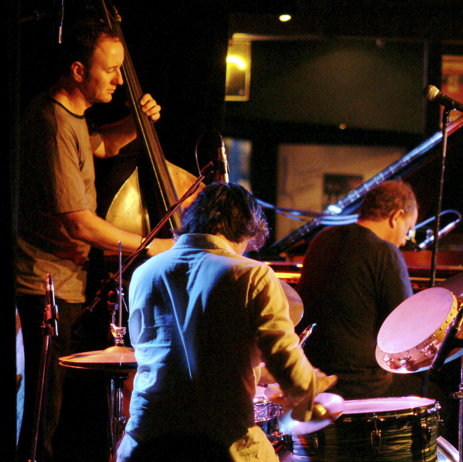 The Necks<br />by Tim Williams The Necksby Tim Williams