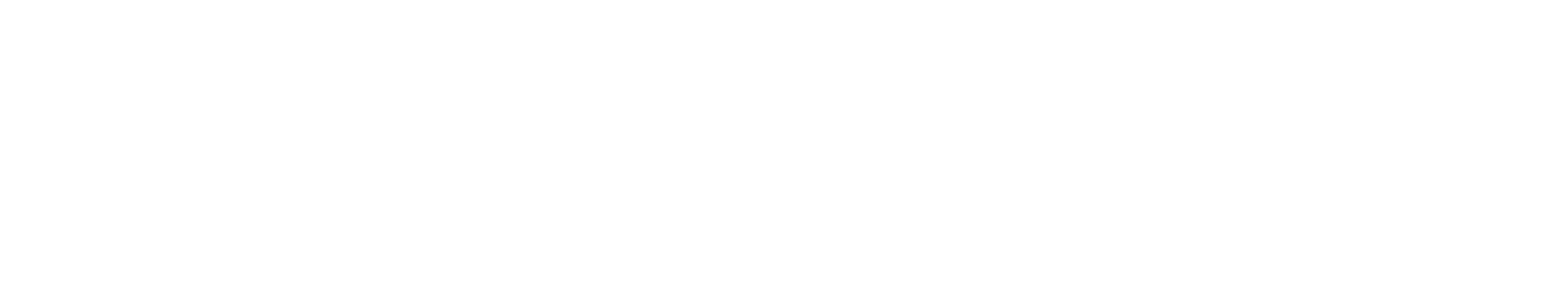 theNecks – logo – reversed – v2019_final